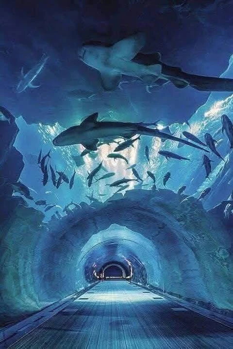Гранд аквариум